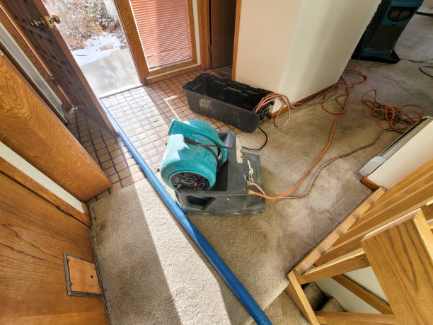 Best Water damage contractors near me  in Vardaman, MS