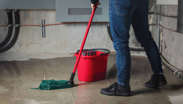  Vardaman, MS Water damage restoration Pros