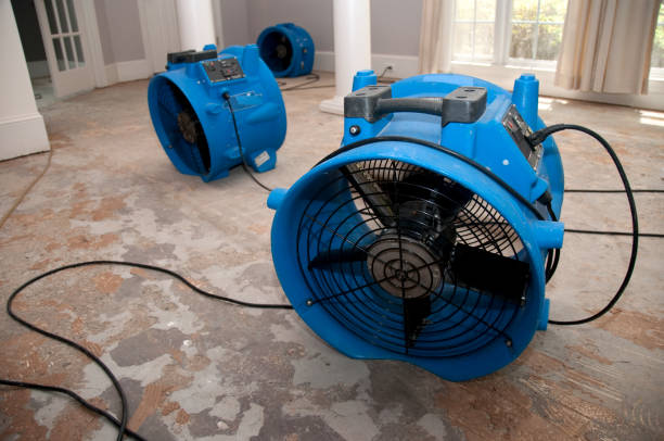 Best Residential water damage restoration  in Vardaman, MS