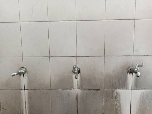 Best Water damage contractors near me  in Vardaman, MS